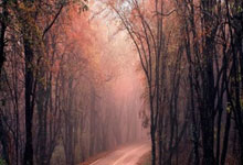 海星体育：亚冠-于汉超传射无果 申花客场遭澳超队读秒绝平.