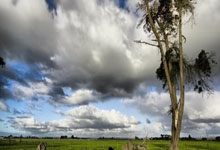 海星体育：官方：世预赛朝鲜主场对阵阿联酋比赛将在沙特首都利雅得进行.