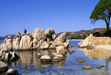 海星体育：亚冠-于汉超传射无果 申花客场遭澳超队读秒绝平.